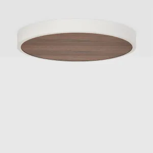 Large Canopy in Walnut