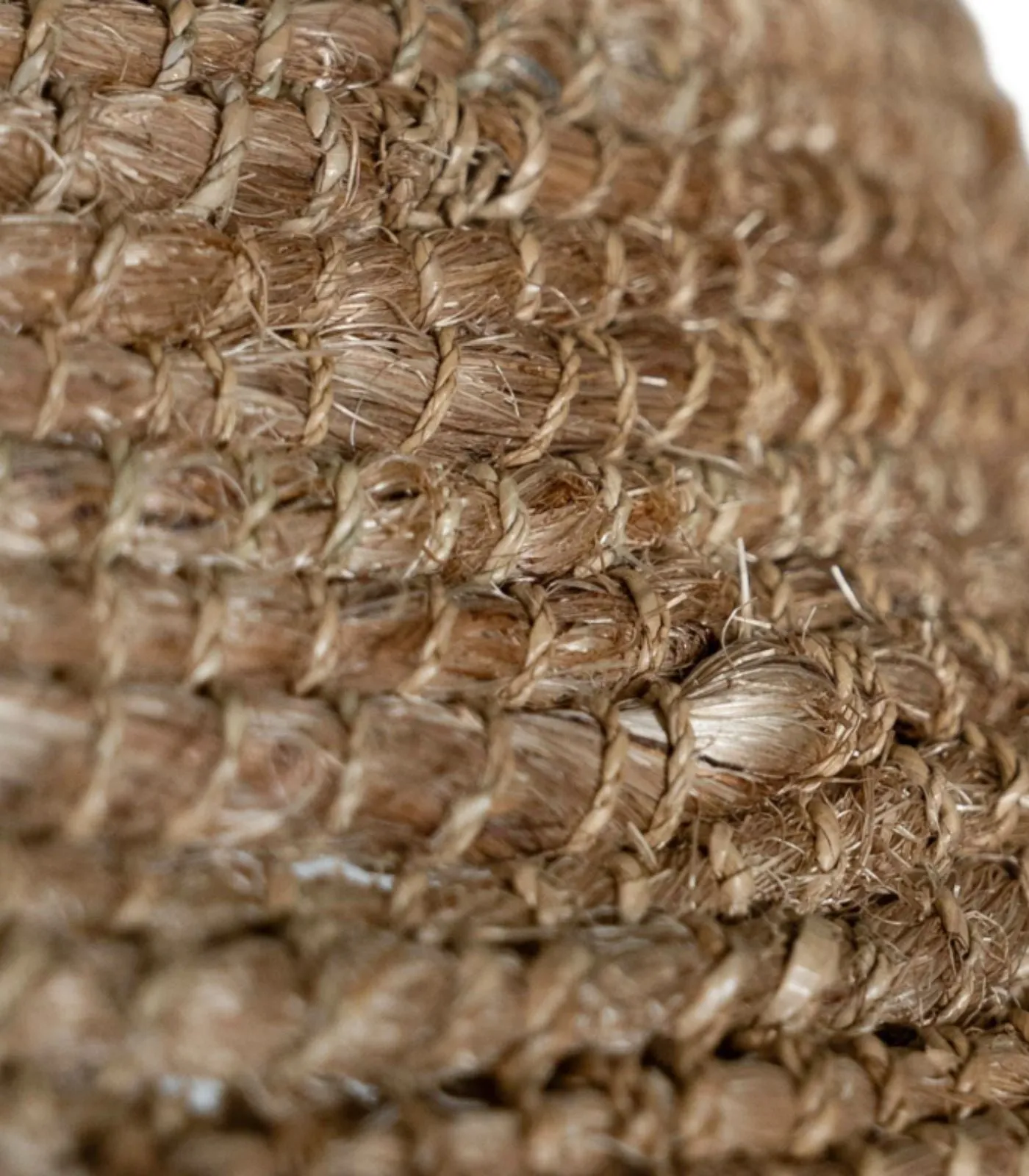 Wide Banana Leaf Shade | Binghi