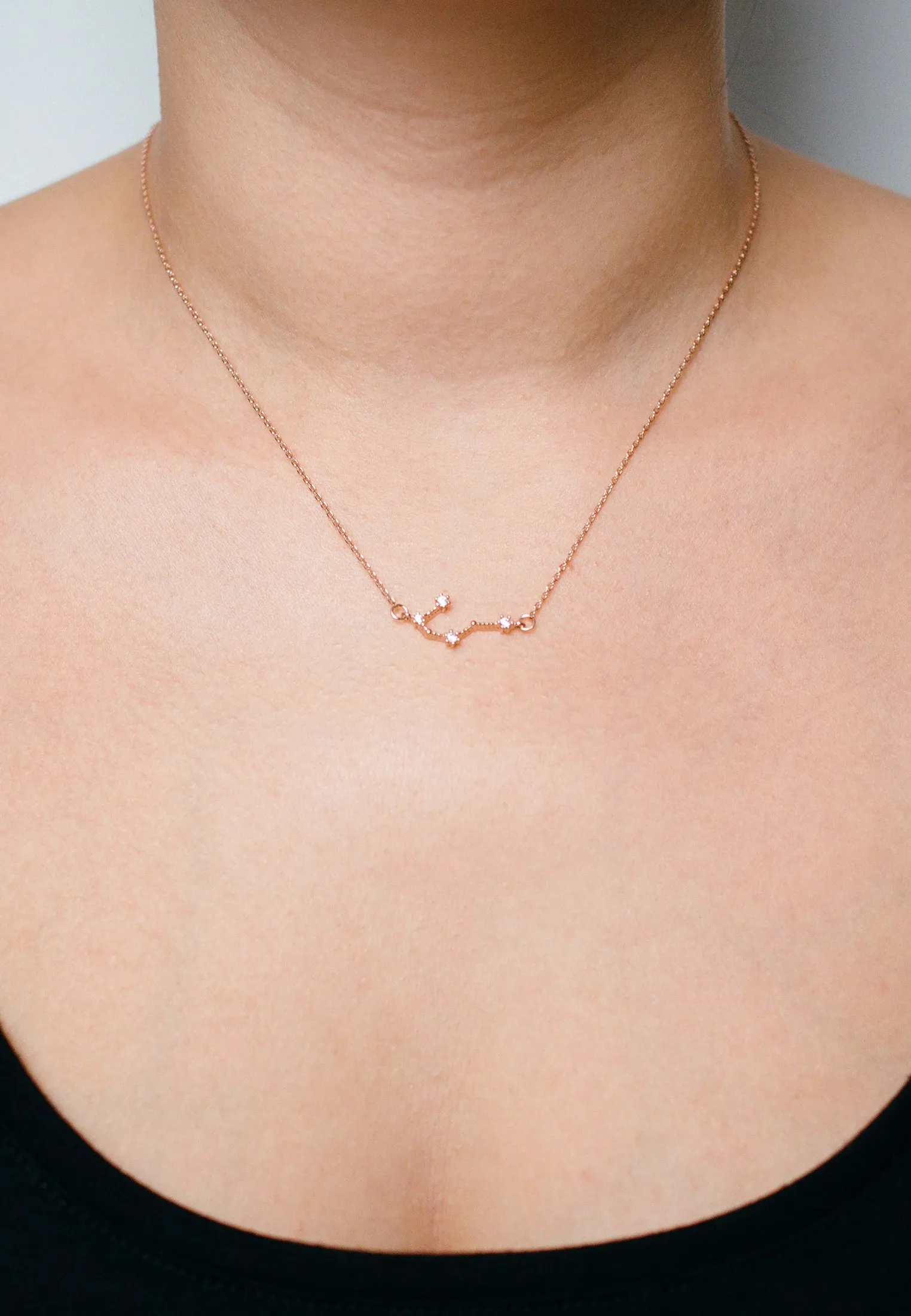 Zodiac Necklace Rosegold (Summer Sale)