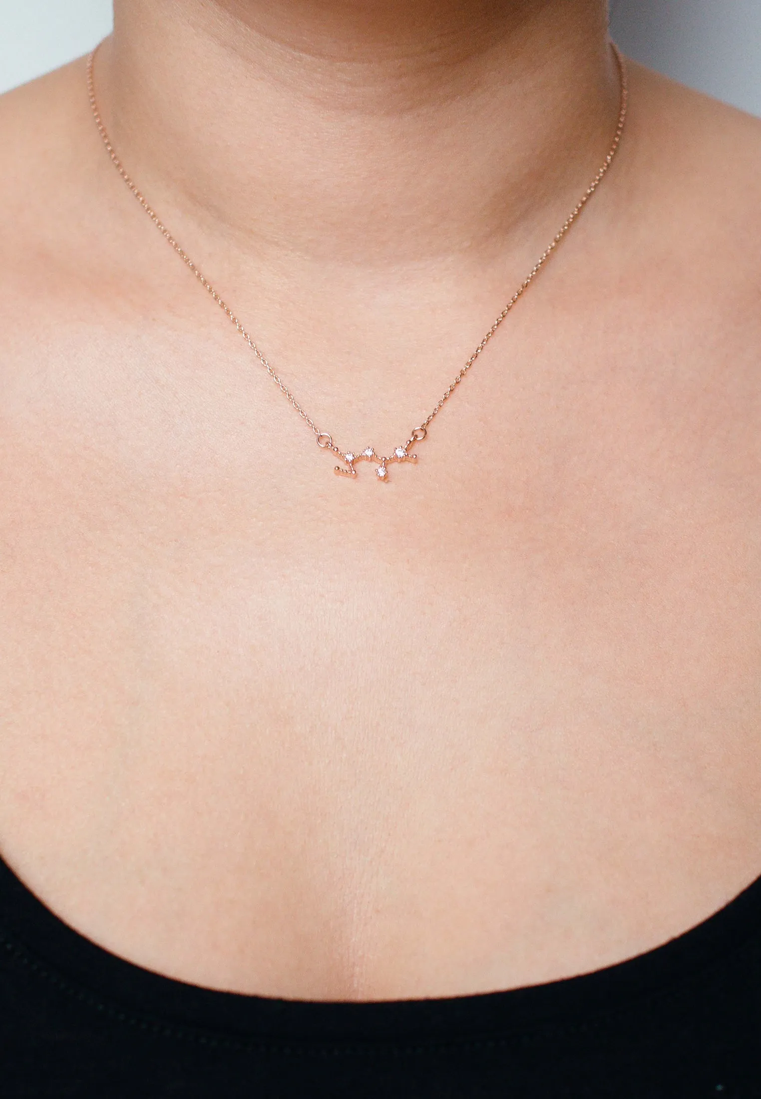Zodiac Necklace Rosegold (Summer Sale)