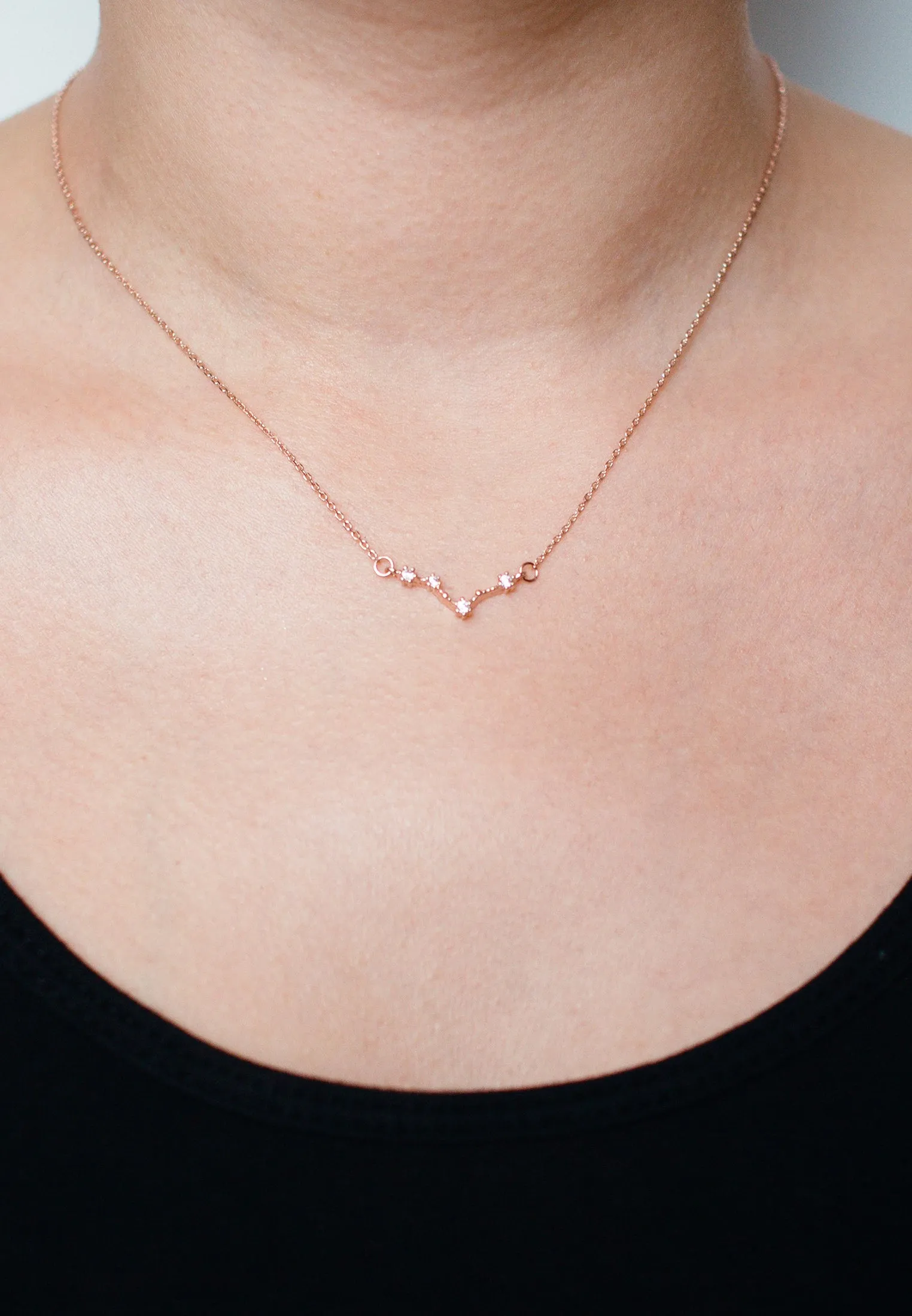 Zodiac Necklace Rosegold (Summer Sale)