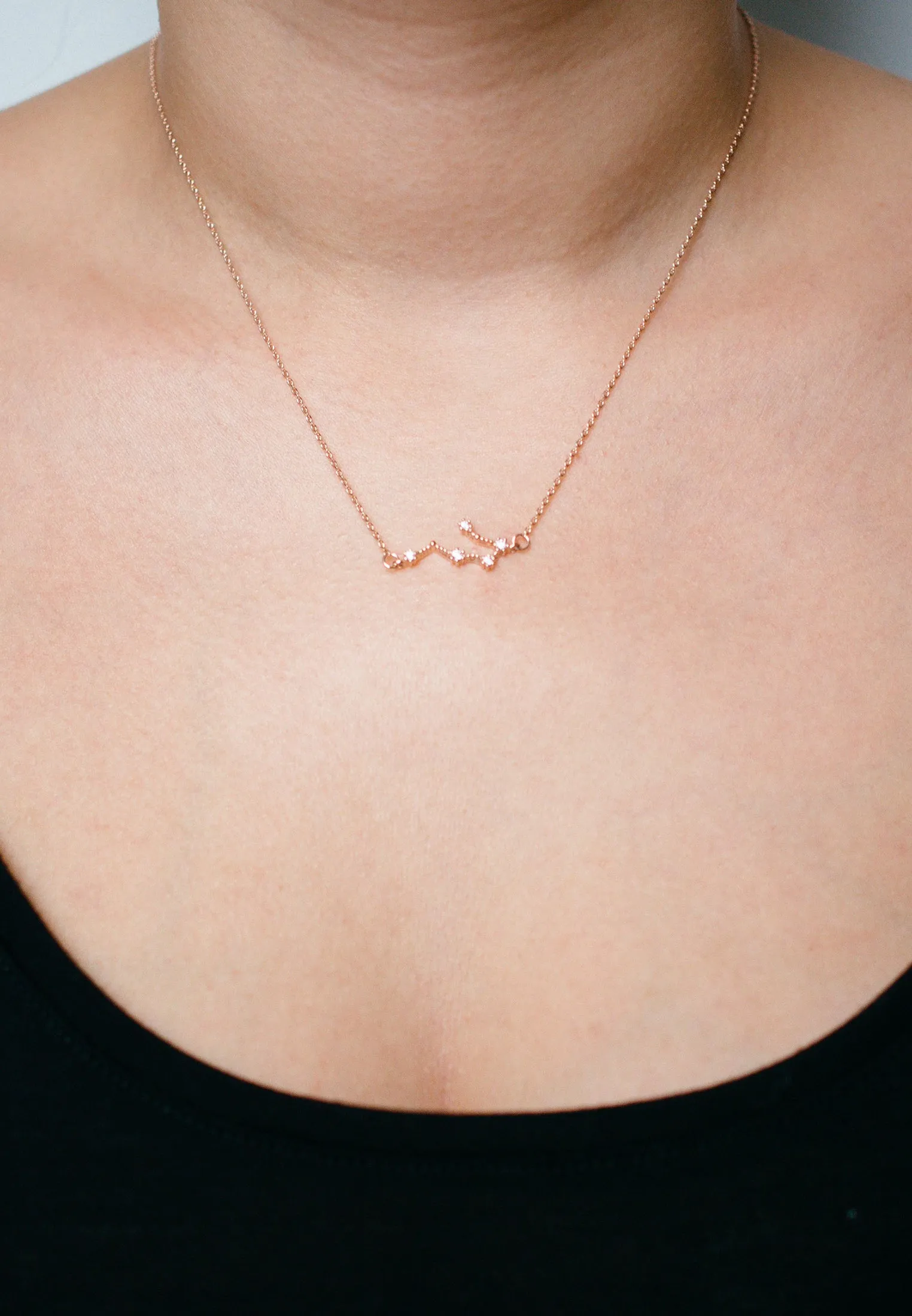 Zodiac Necklace Rosegold (Summer Sale)