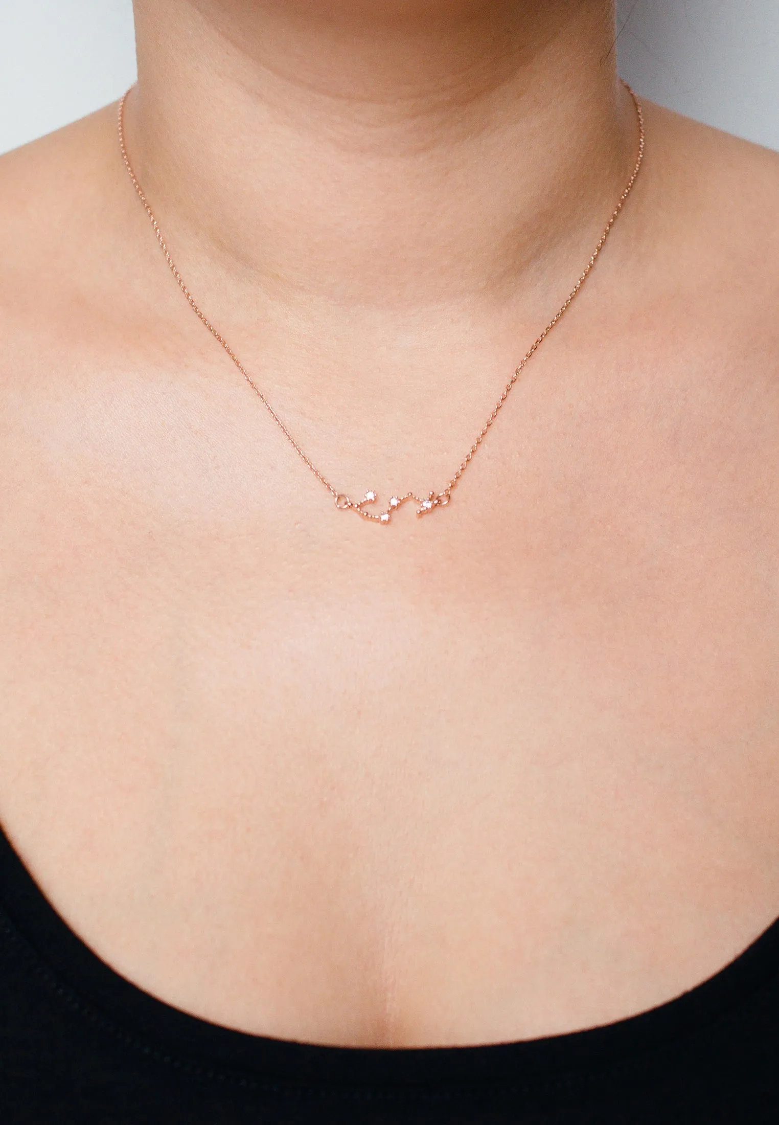 Zodiac Necklace Rosegold (Summer Sale)