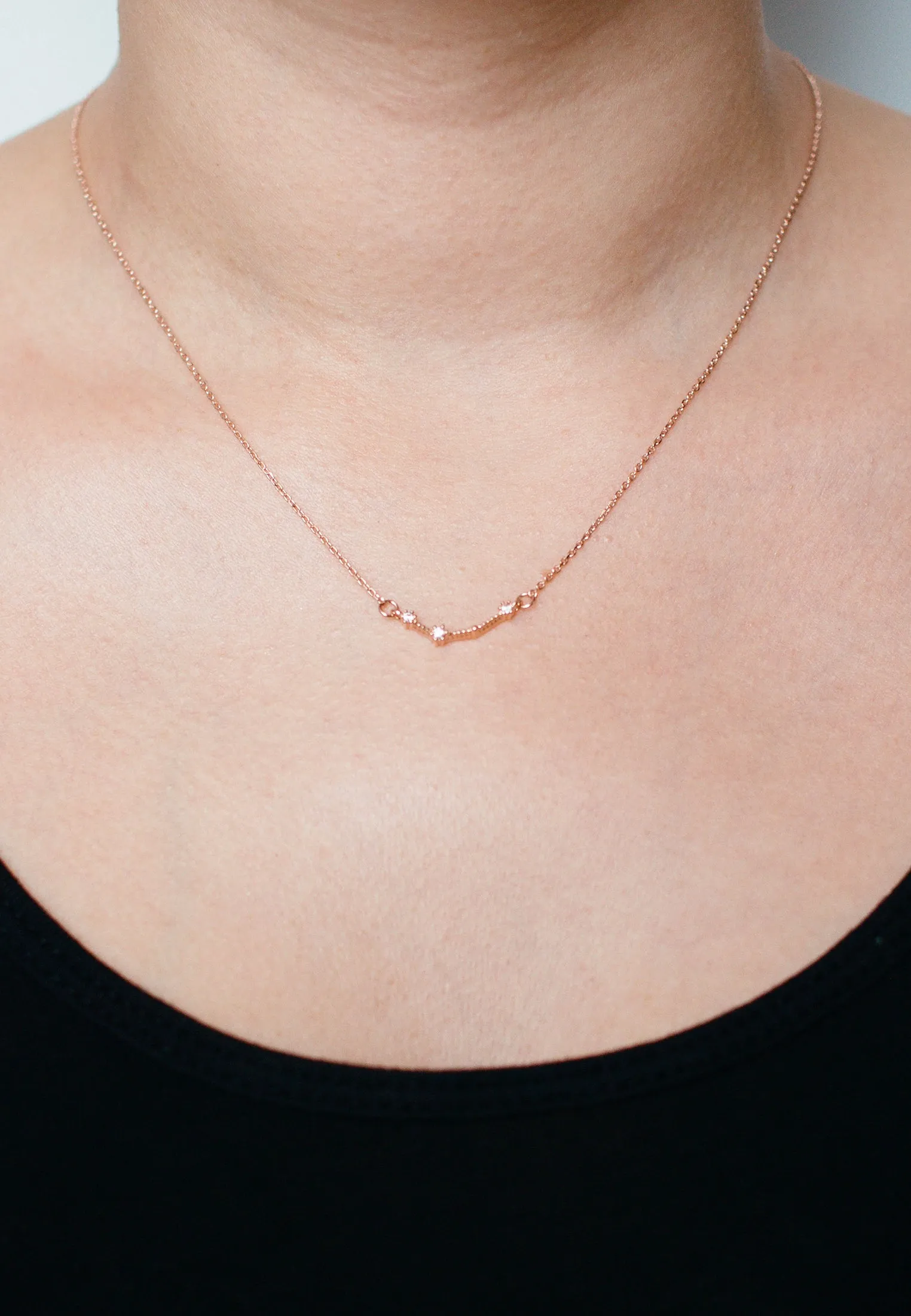 Zodiac Necklace Rosegold (Summer Sale)