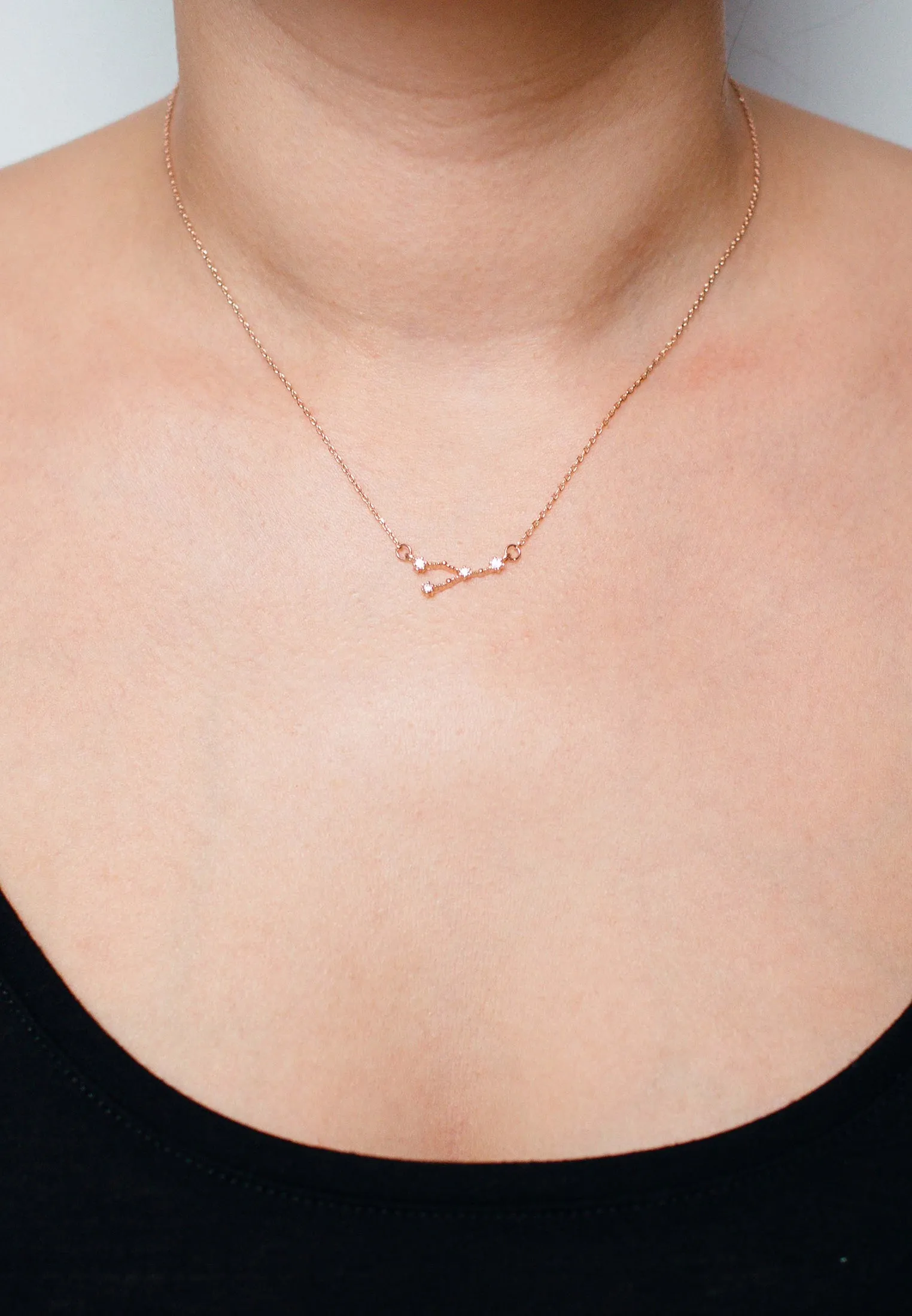 Zodiac Necklace Rosegold (Summer Sale)