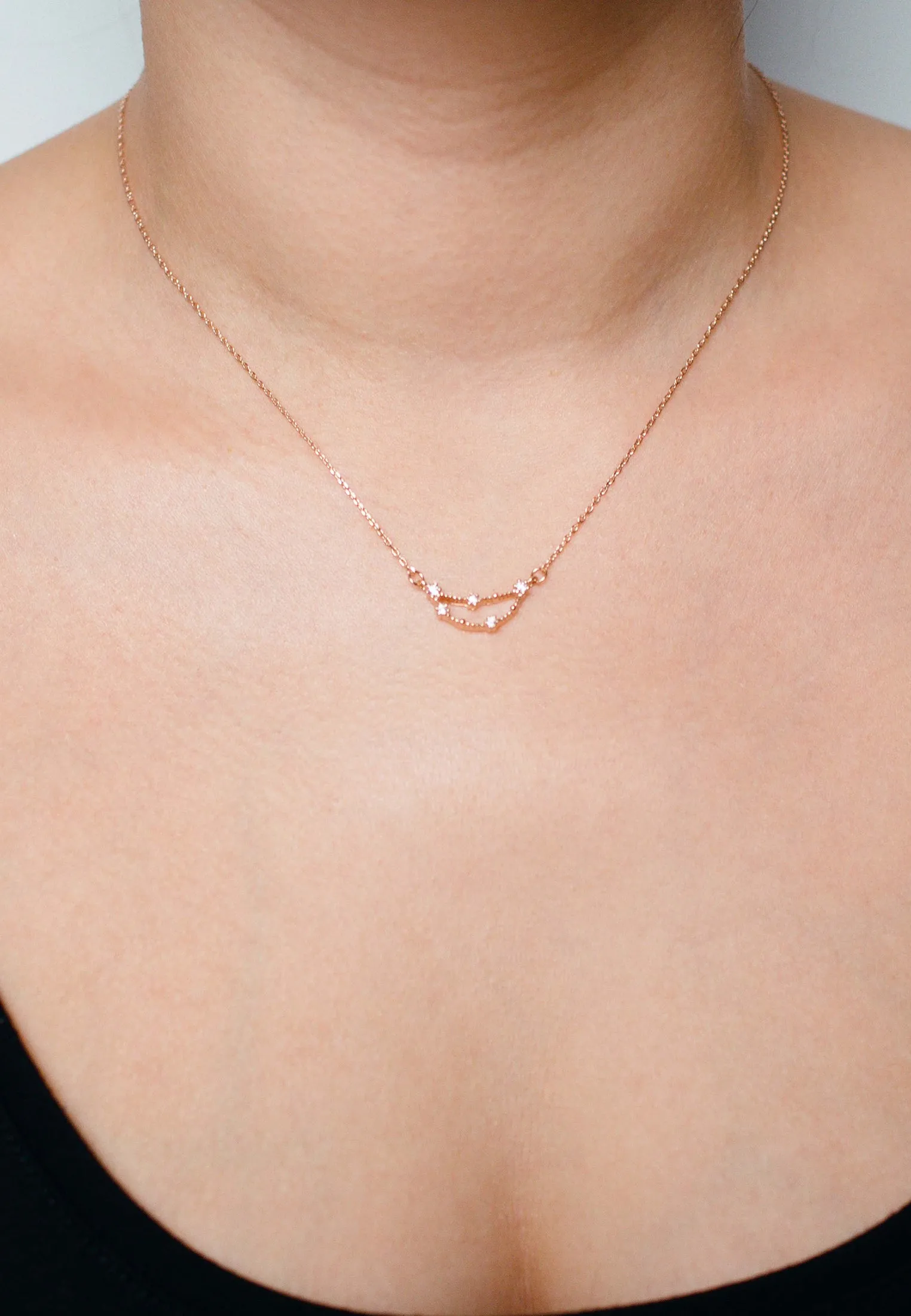 Zodiac Necklace Rosegold (Summer Sale)