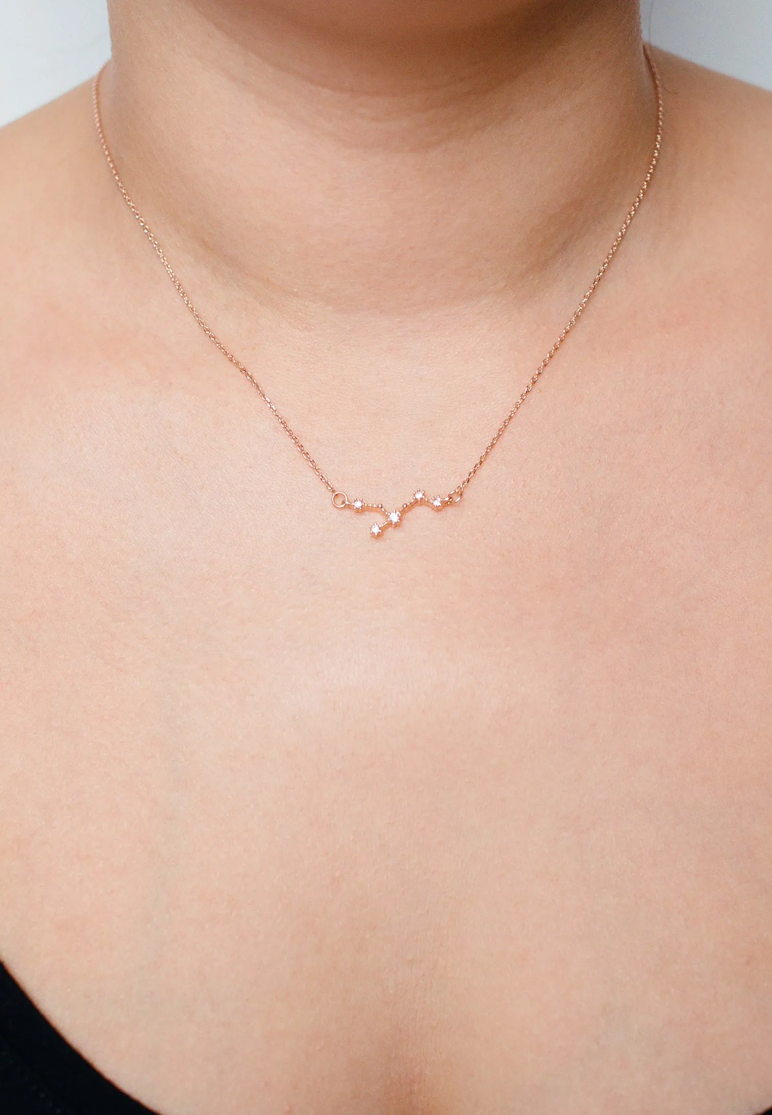 Zodiac Necklace Rosegold (Summer Sale)
